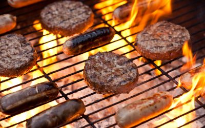 Members Fun day, BBQ & Veterans sailing